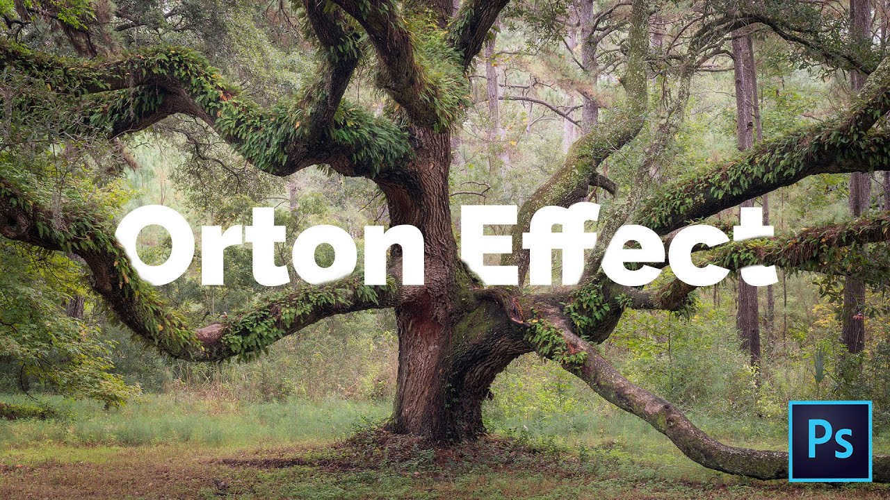 Create DREAMY Images with the ORTON EFFECT in Photoshop