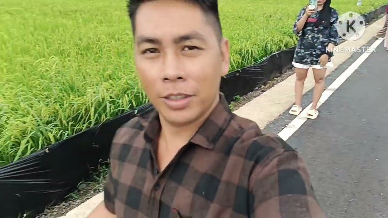 JALAN2 TEMPAT YG VIRAL DI SAWAH TINDUK/KOBES CITTY PUNYAA