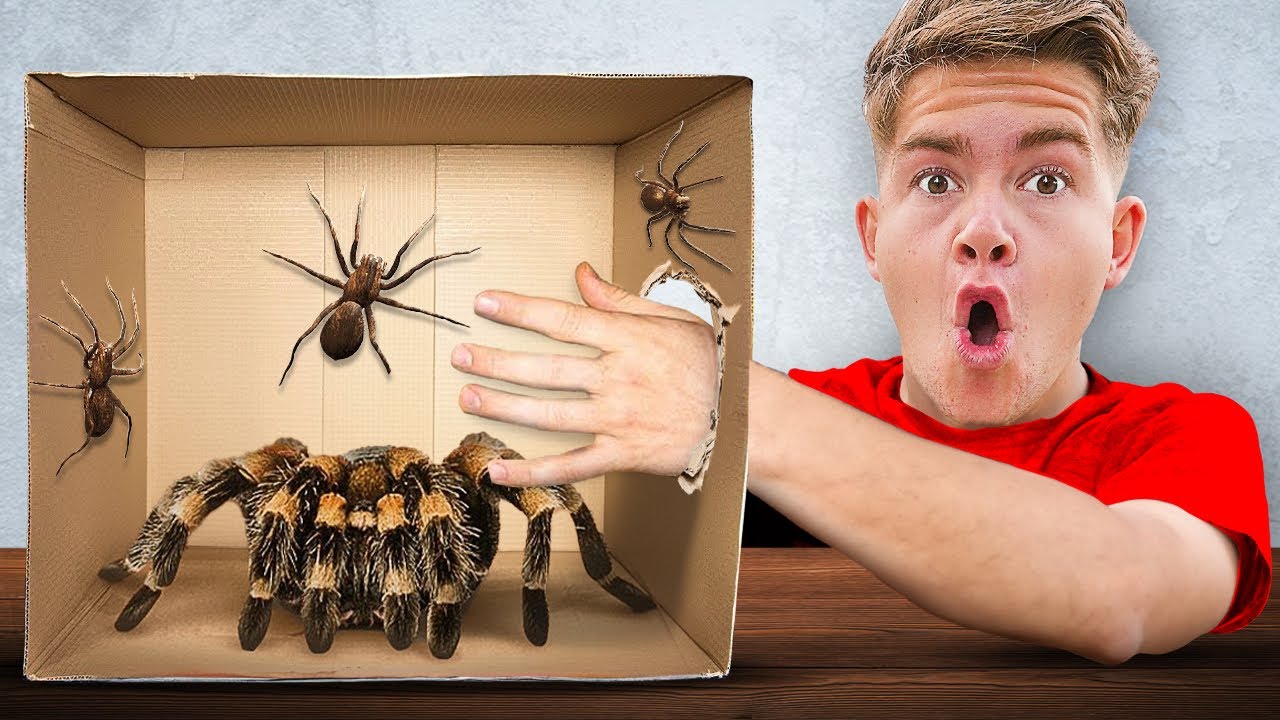 Rik & Jesper doen de What's In The Box Challenge!