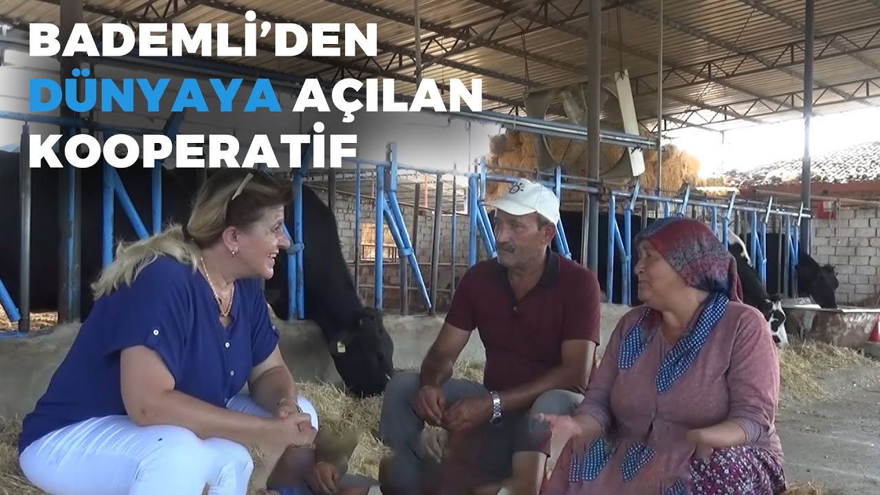 Bademli'den Dünyaya Açılan Kooperatif (Örnek Başarı) - Anadolu Sevdası #izmir #çiftçitv