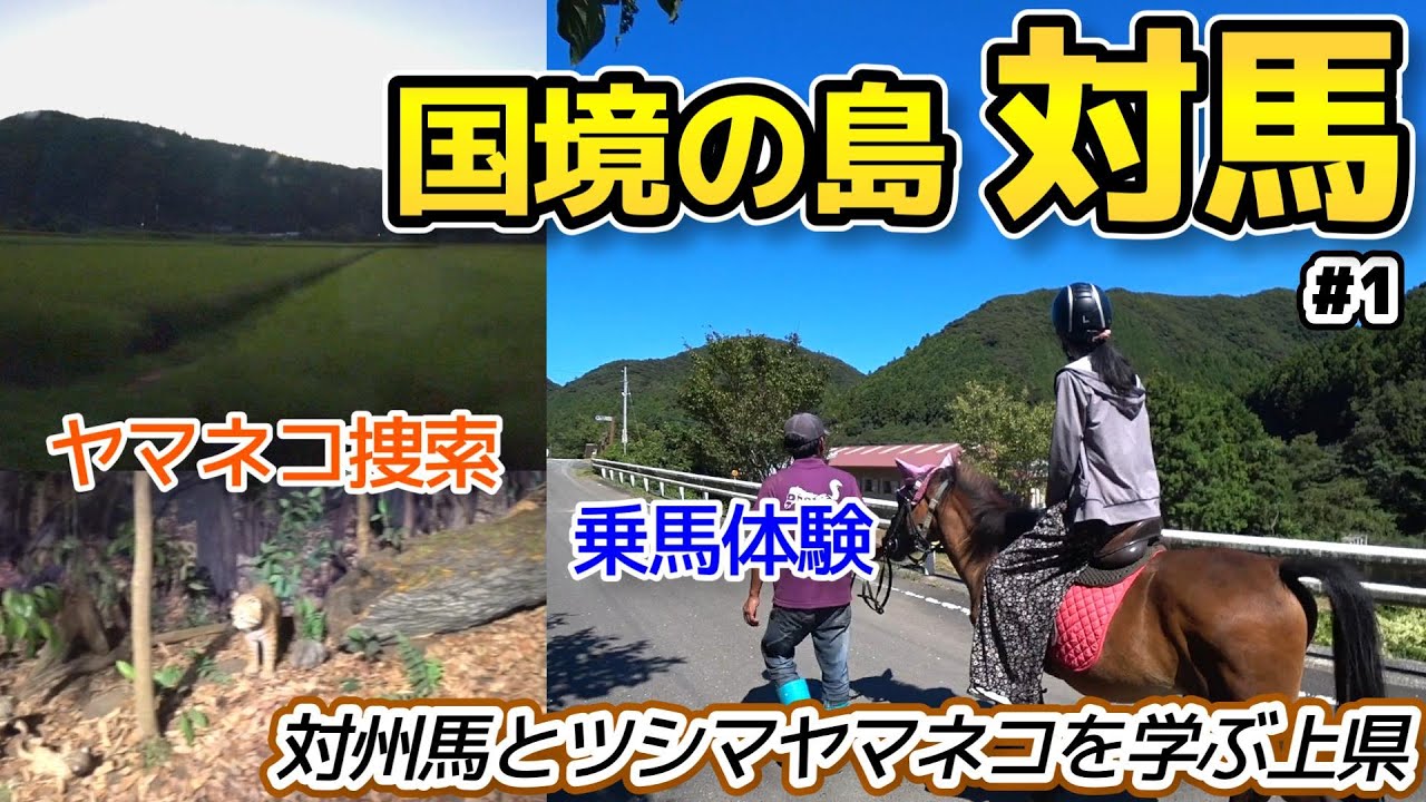 【日本遺産：国境の島・対馬】対州馬とツシマヤマネコを学ぶ国境の島・対馬（長崎県対馬市 上県町）／重伝建制覇への道 対馬編#1