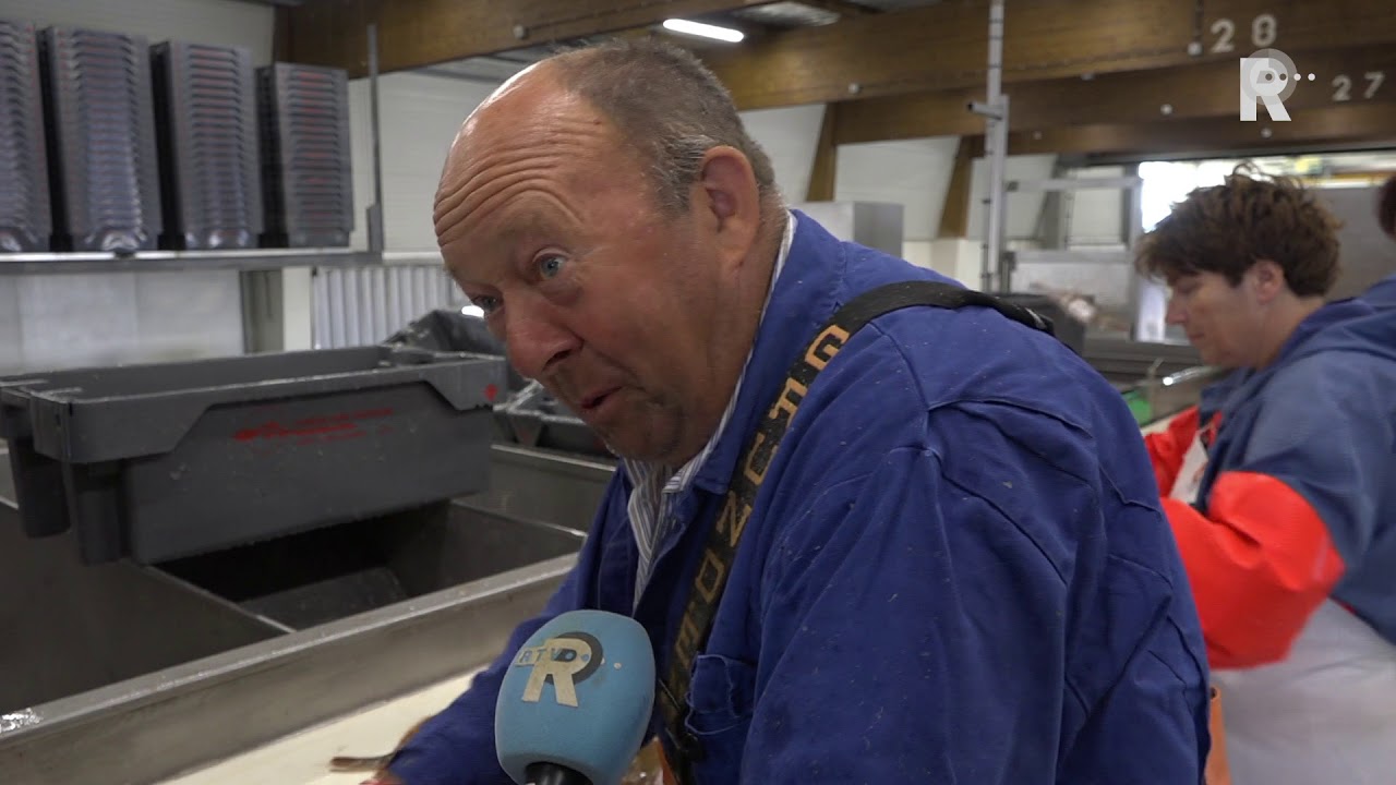 Stellendamse vissers weer in de thuishaven