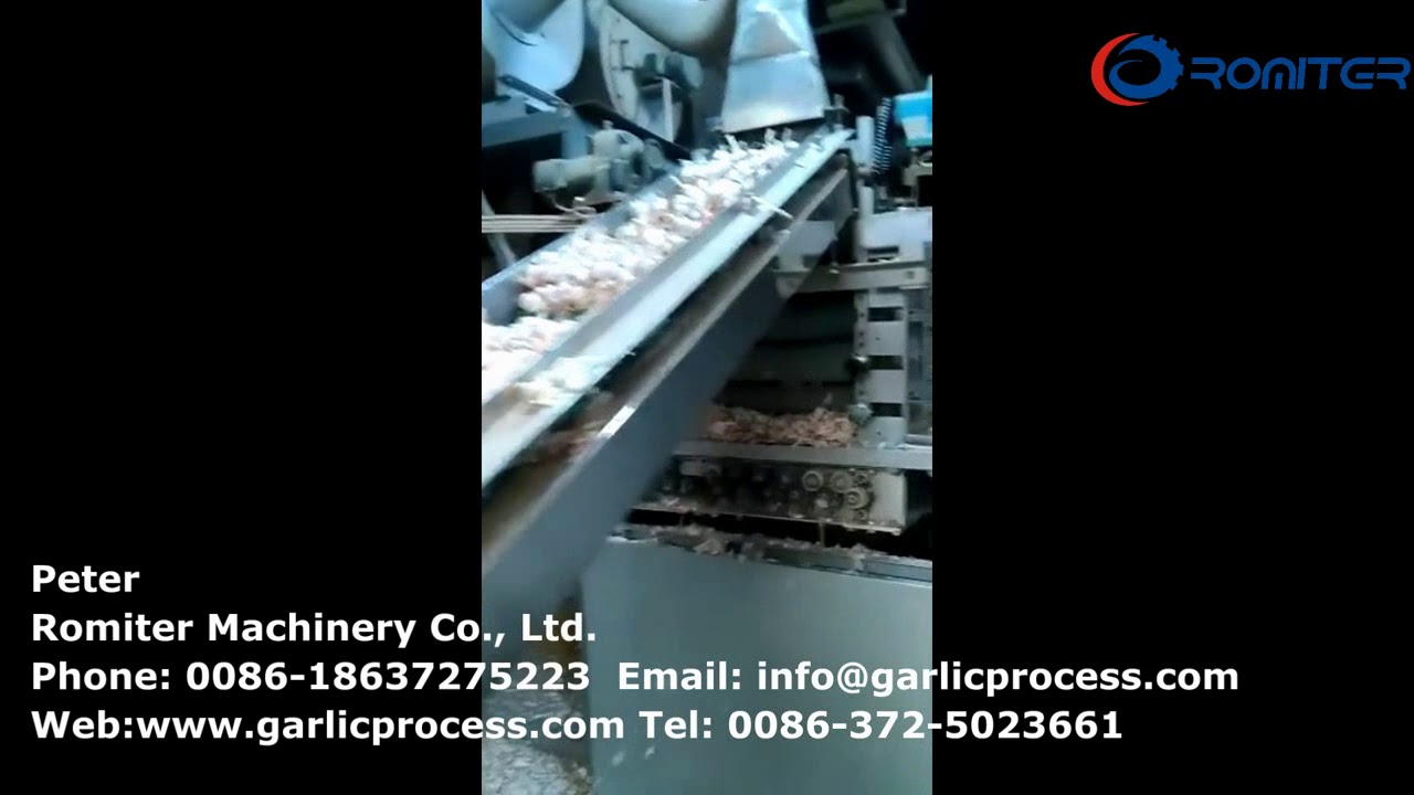 Automatic Garlic Clove Production Line with Color Sorting Machine
