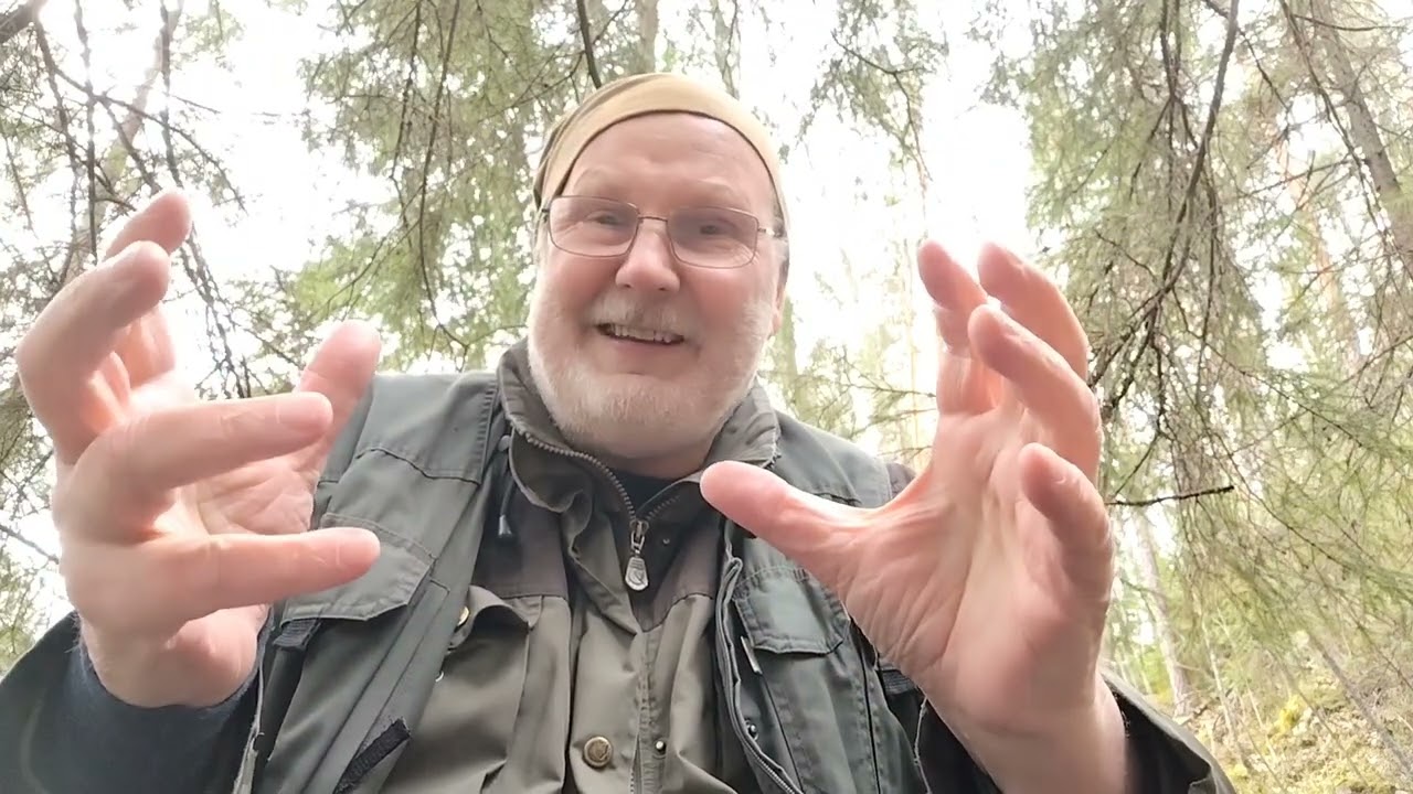 Ilves leikkii. Vai leikkiikö sittenkään? 