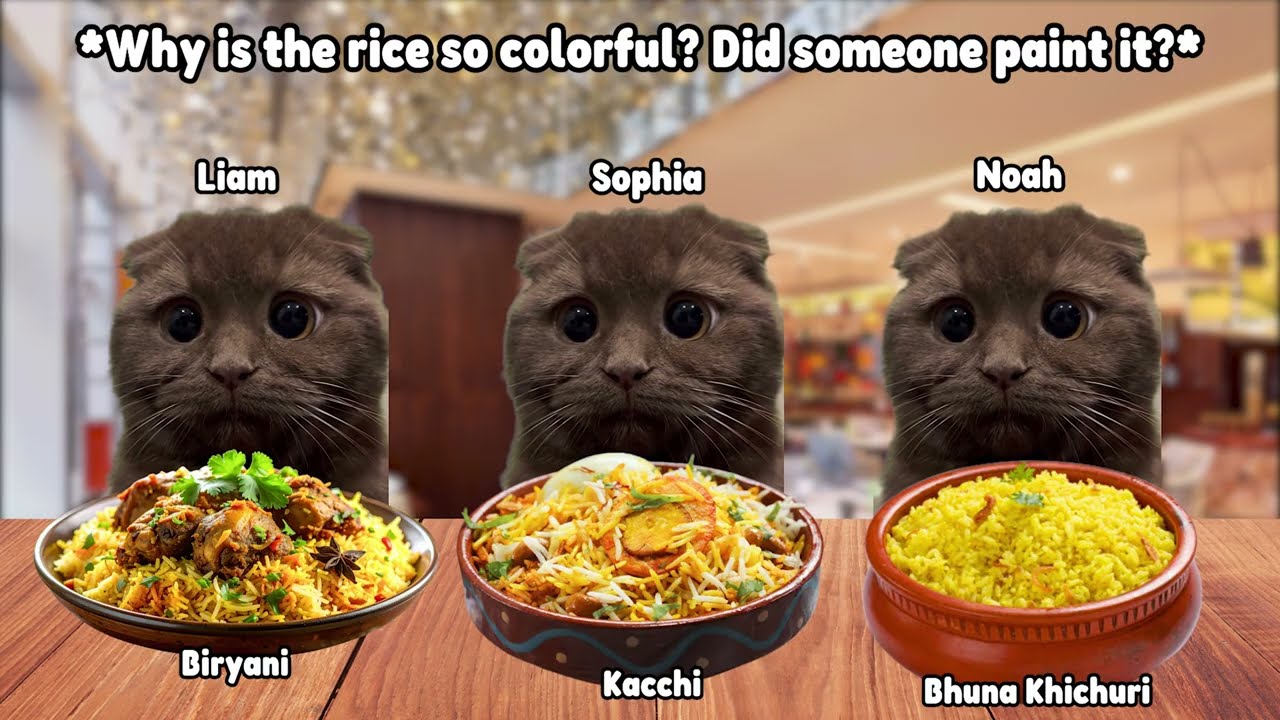 CAT MEMES FAMILY ROAD TRIP TO BANGLADESH