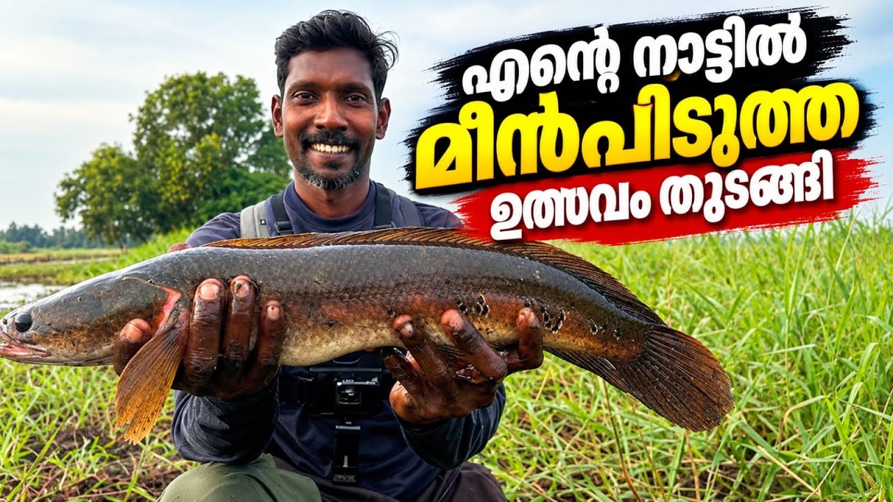 ഇവിടെ വെള്ളം പറ്റിയാൽ മീൻ പിടിച്ച് പ്രാന്ത് പിടിക്കും 