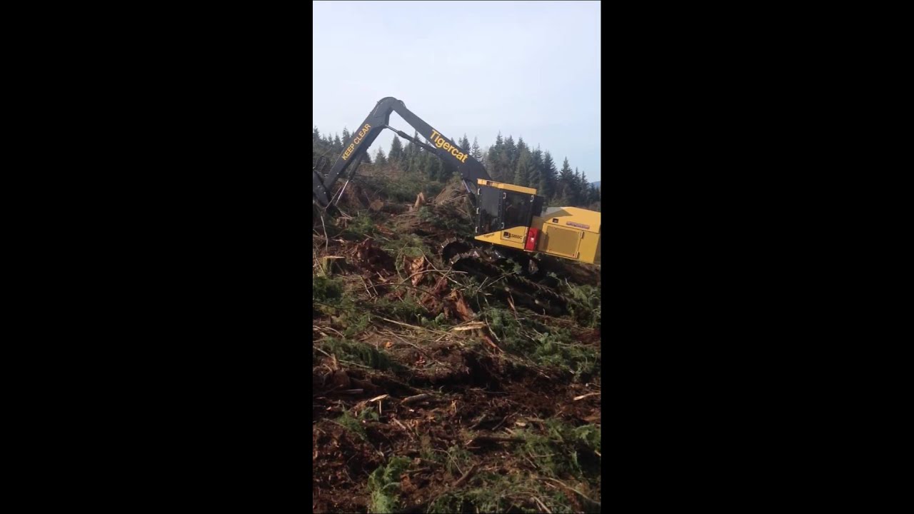 Tigercat LS855C