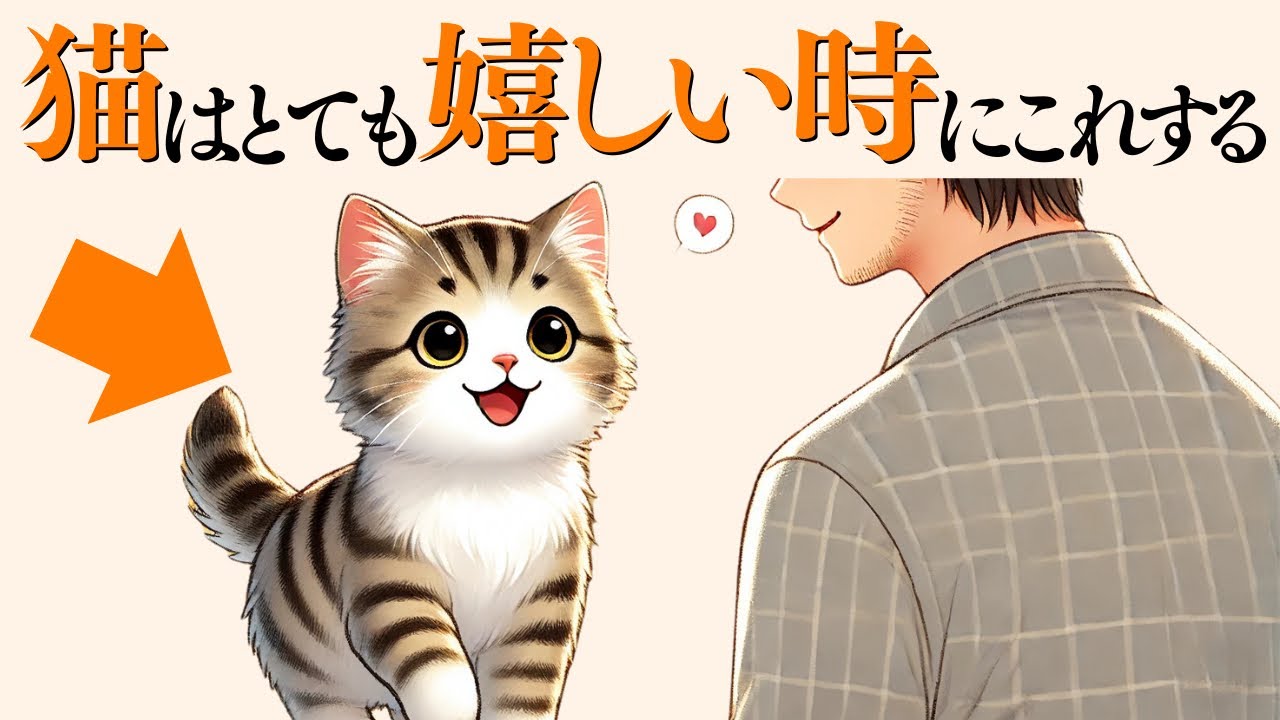 【猫が嬉しい時にする行動】 猫の雑学 #猫 #ねこ 