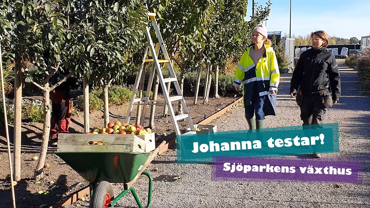 Johanna testar Sjöparkens växthus i Kumla stadspark