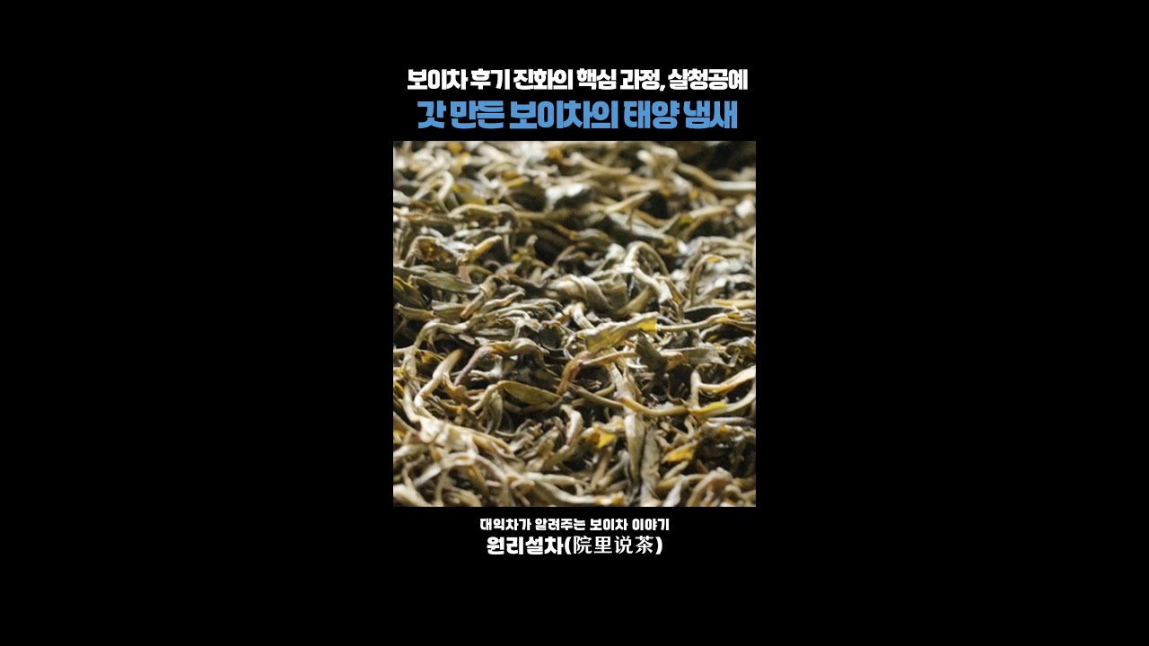 [원리설차] 후기진화의 비밀, 살청공예