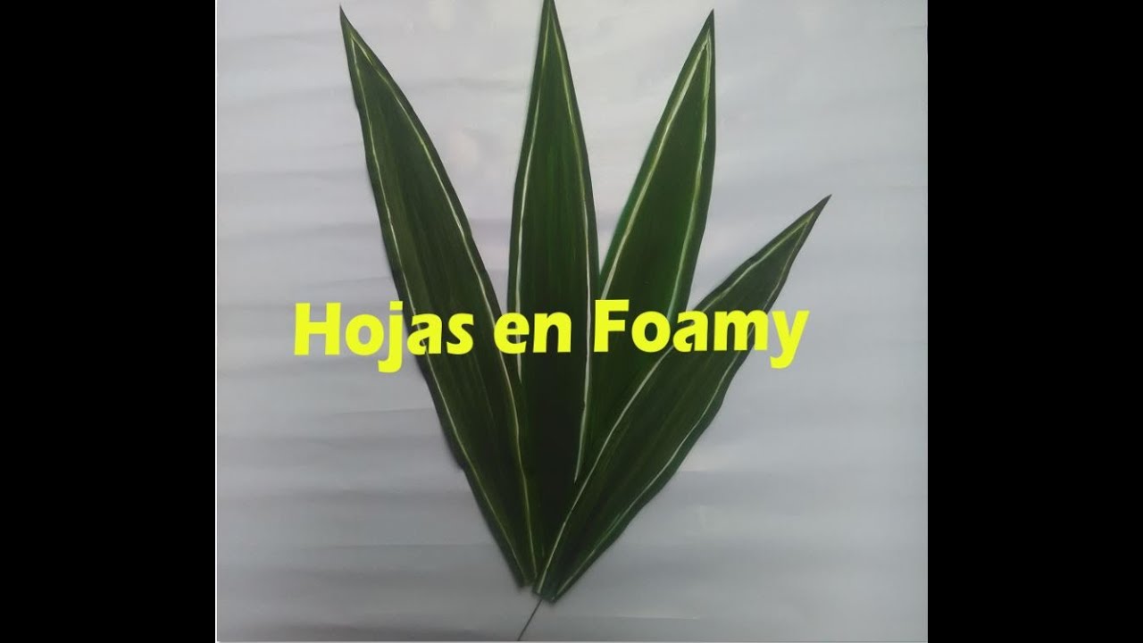 como hacer hoja en foamy :)