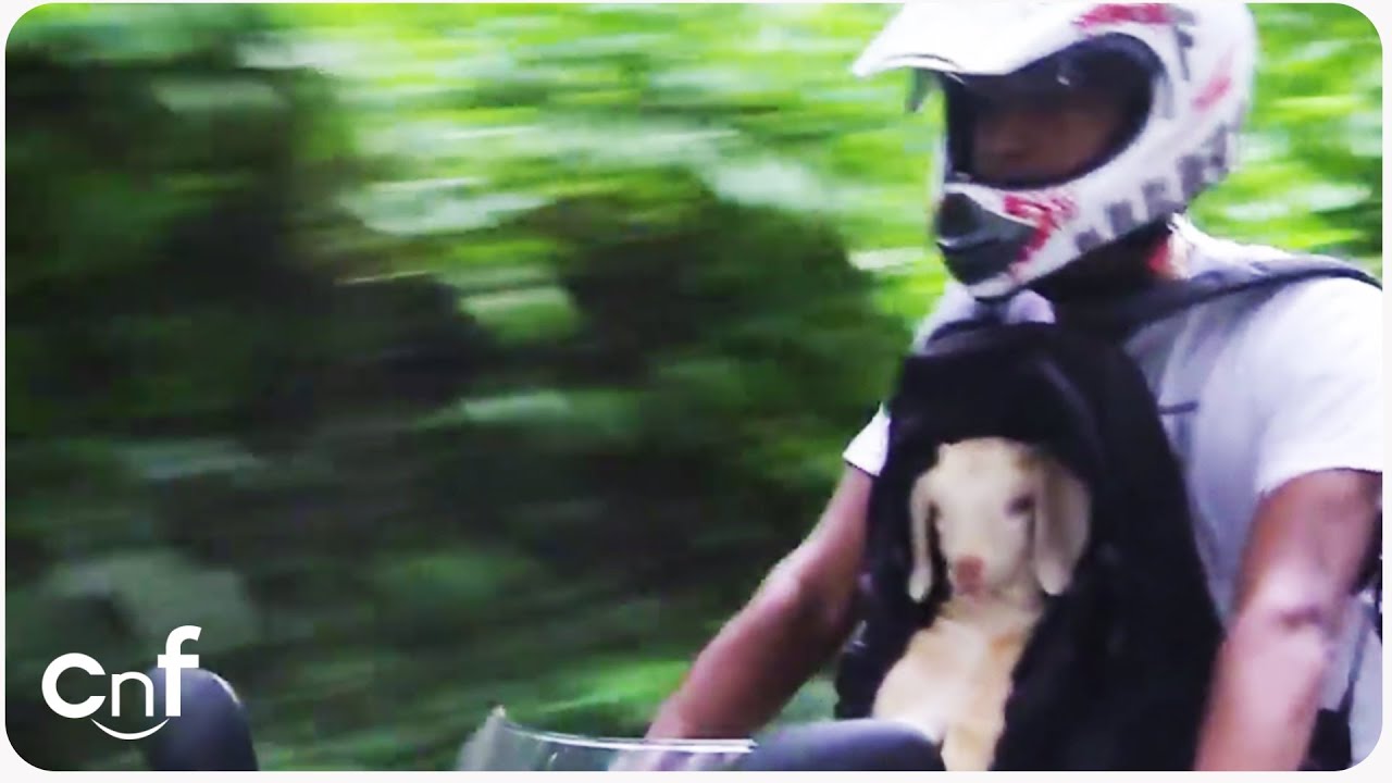 Baby Goat Goes for Motorcycle Ride | Riding Dirty