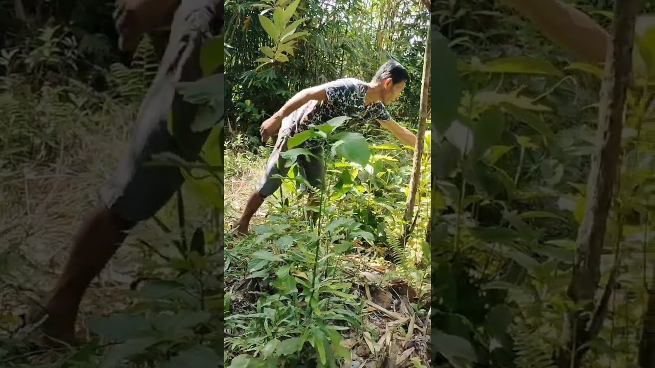 Simula palang nasugatan na😥😱