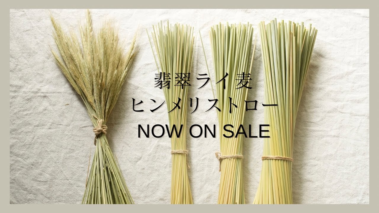 2025翡翠ライ麦ヒンメリ用ストロー発売【概要欄よりご購入いただけます】