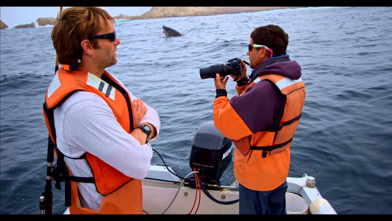 Your Earth is Blue: Gulf of the Farallones White Shark Research