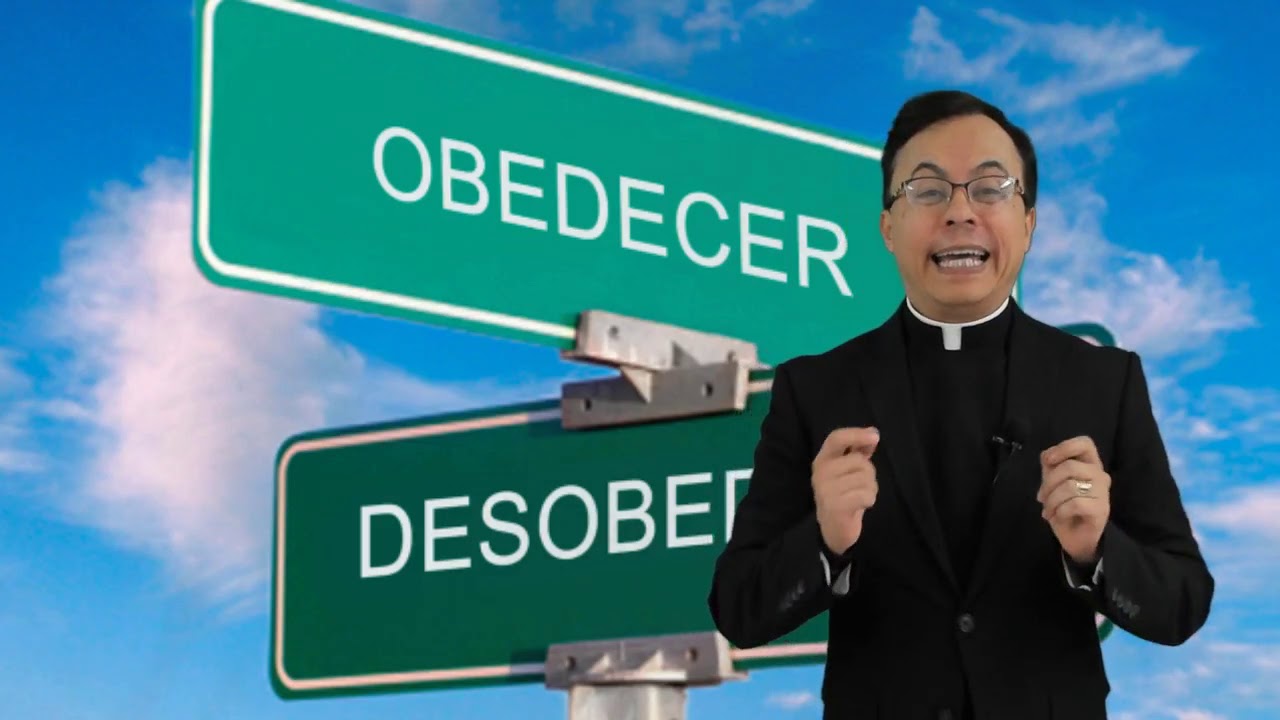 OBEDECER O DESOBEDECER?