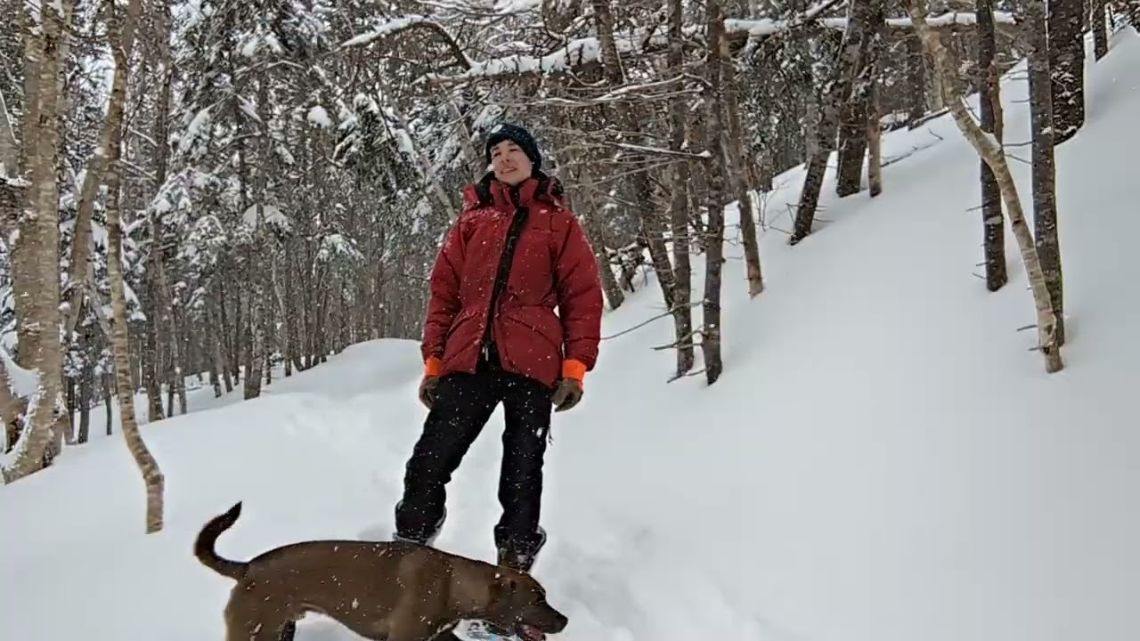 Snowshoe to the Stream