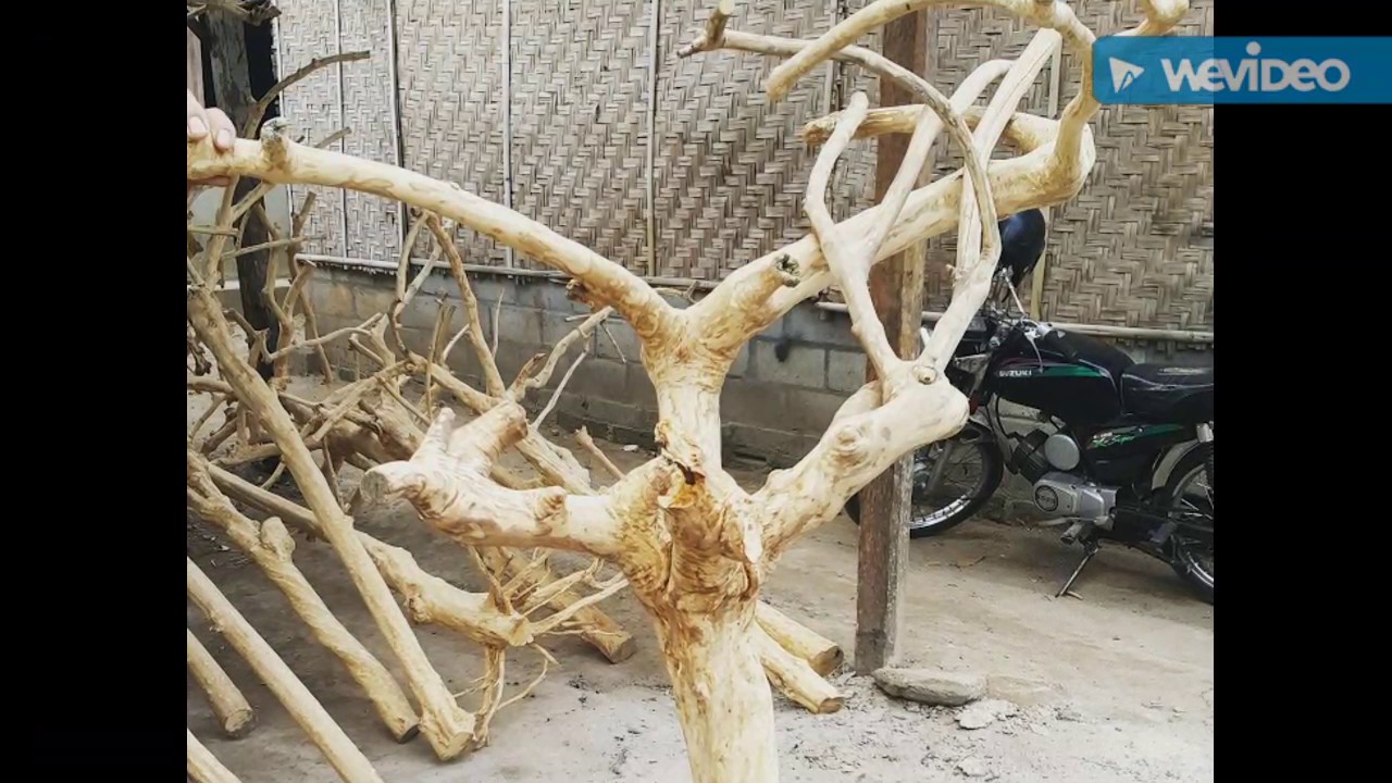 Java Wood Tree Play Stand, Bird Perch, Parrot Stand, Supplier and Manufacture +62819-0407-2777
