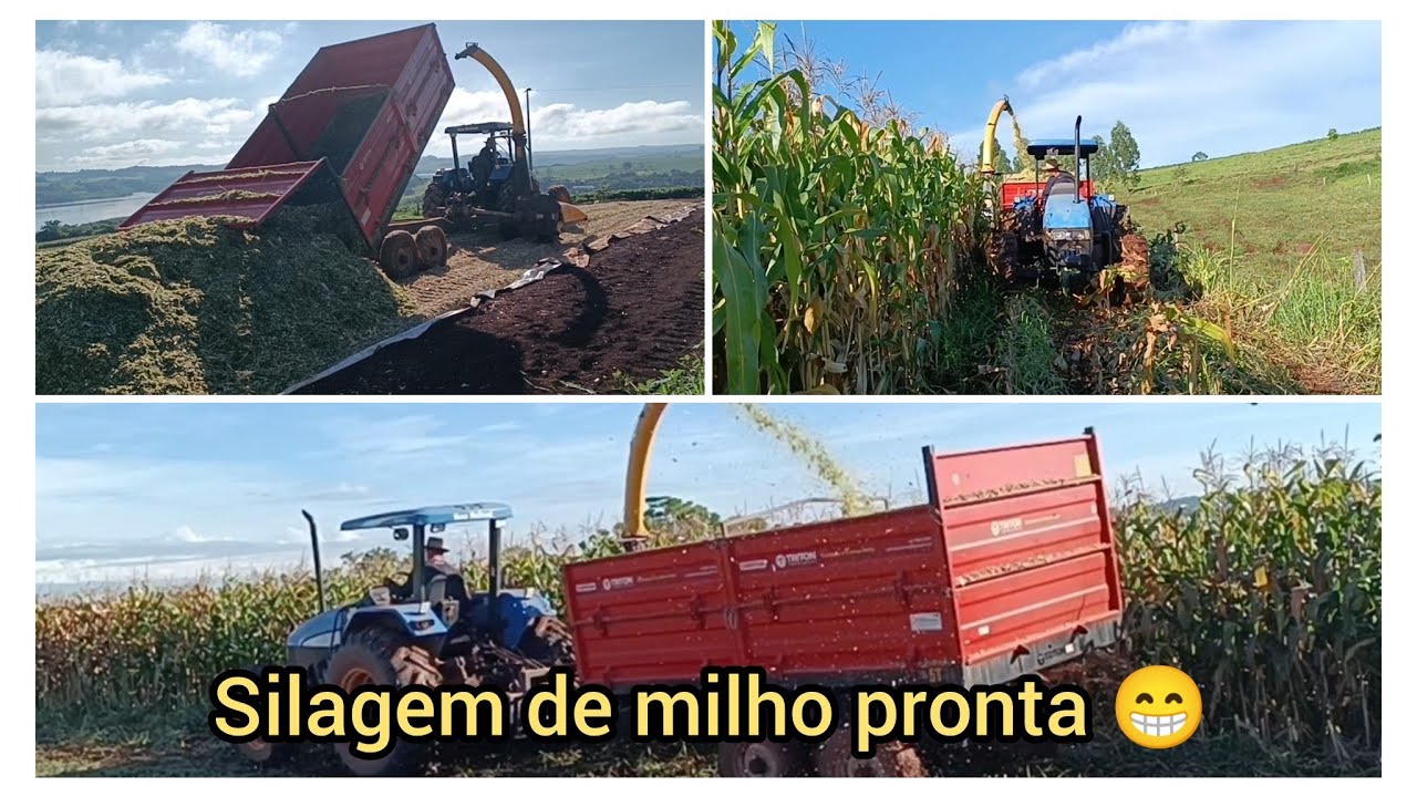 Finalizamos a silagem de milho # milho Biomatrix 3066.