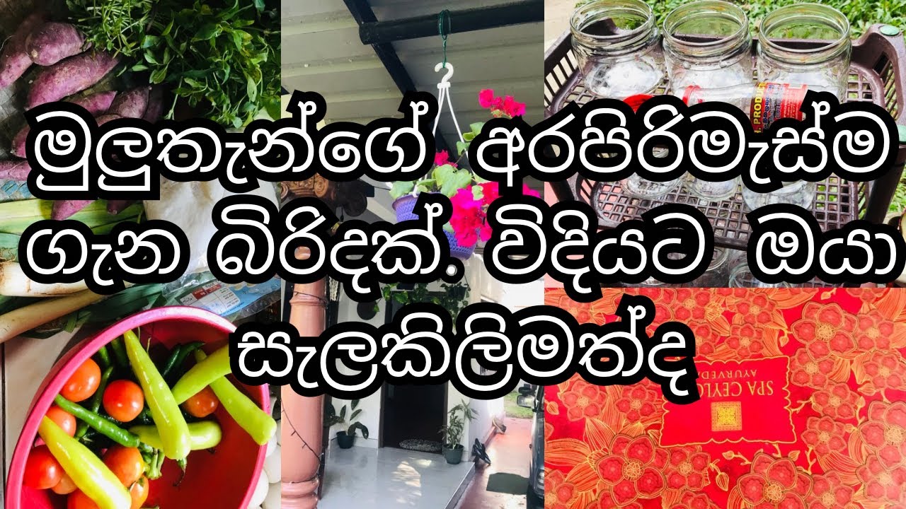 මුලුතැන්ගේ අරපිරිමැස්ම ගැන බිරිදක් විදියට ඔයා සැලකිල්ලට ගන්නම ඕනි දේවල්👩‍🦰🌸☘️