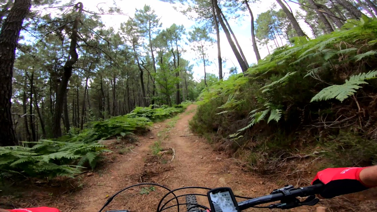 Essai de roulage d'un Scott Genius eride 920