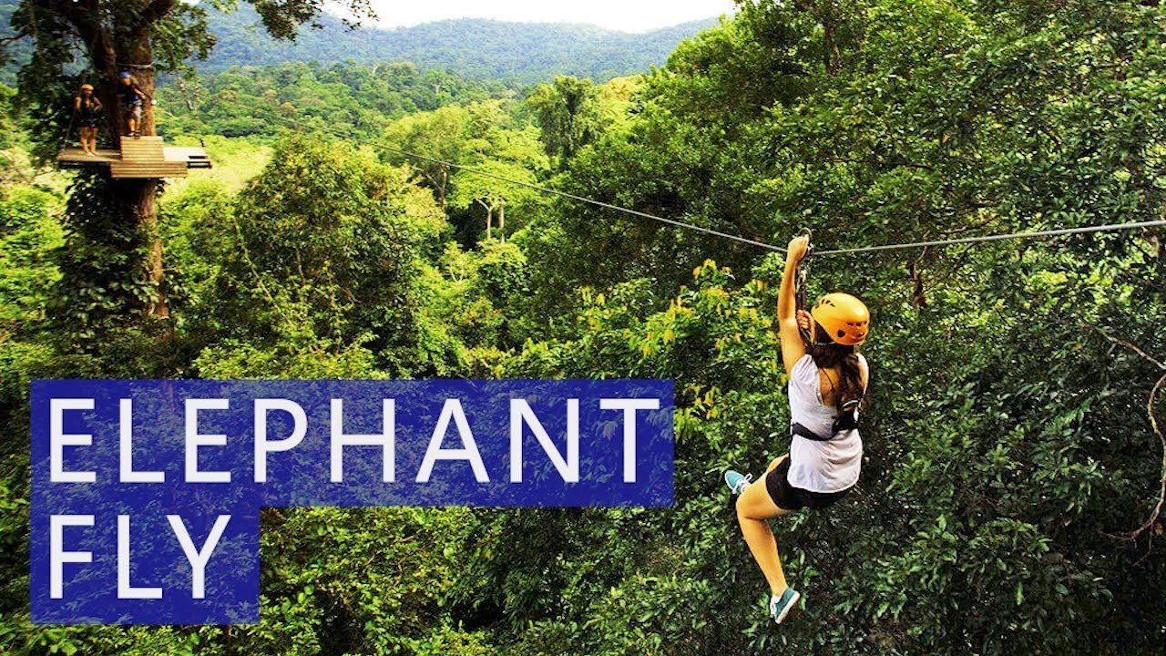 Zip Line Adventure Elephant Fly in Khao Lak | Price | Review | Avitip