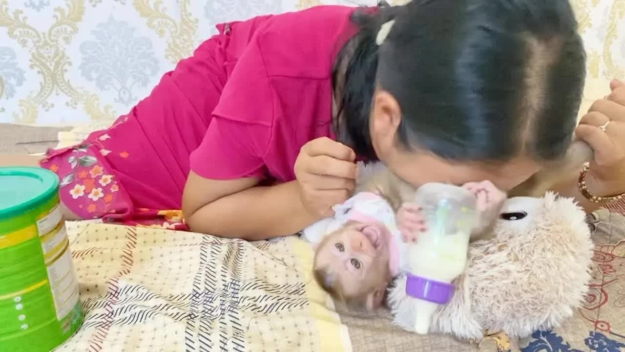 Baby DAM Burst Out Laugh When Mom Kissing His Belly