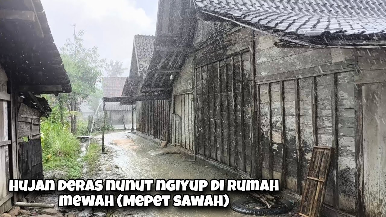 Ayem Tentrem, Suasana Hujan Pelosok Desa & Sensasi Sego Sambel Tahu Yg Bikin Kangen Kampung Halaman