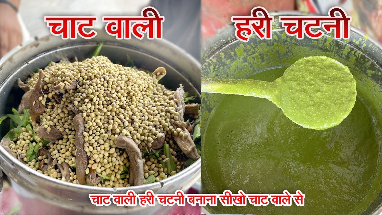 इस चटनी बिना सारी चाट फीकी है, चाट वाले से सीखो चाट वाली हरी चटनी बनाना | green chutney|hari chutney