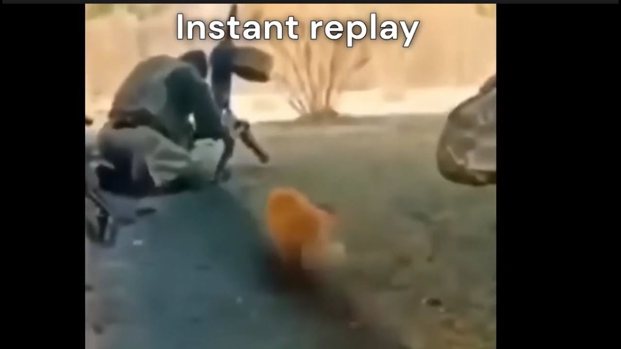 reacting to funny  memes with my friend.