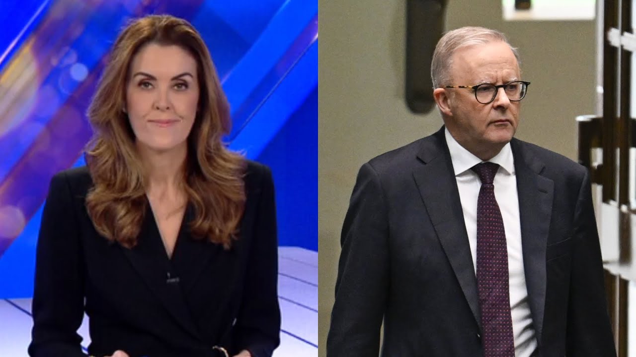 &lsquo;What a waste&rsquo;: Peta Credlin slams Albanese&rsquo;s NATO decision