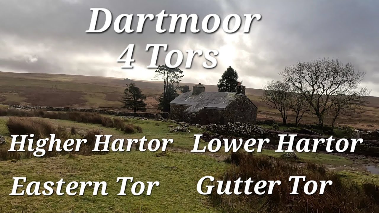 No War Horse in sight but a few Dartmoor Pony's about .