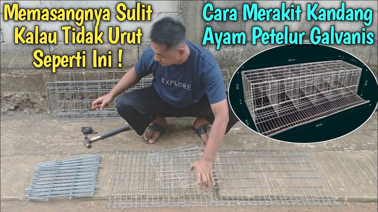 Cara Merakit kandang ayam petelur galvanis Yang Benar