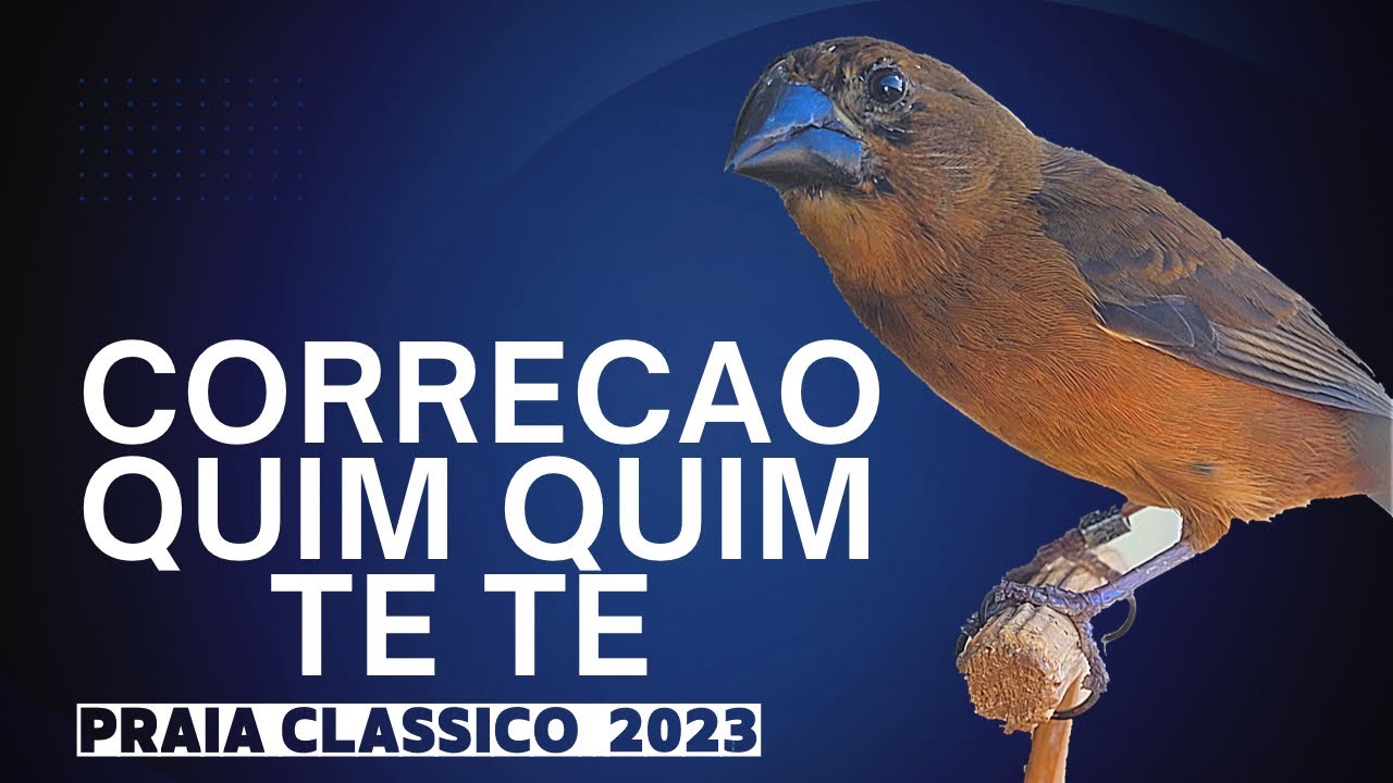 Curió praia clássico   selo prata   fh 30 anos original ‐ correcao quim quim te te 10 x 30