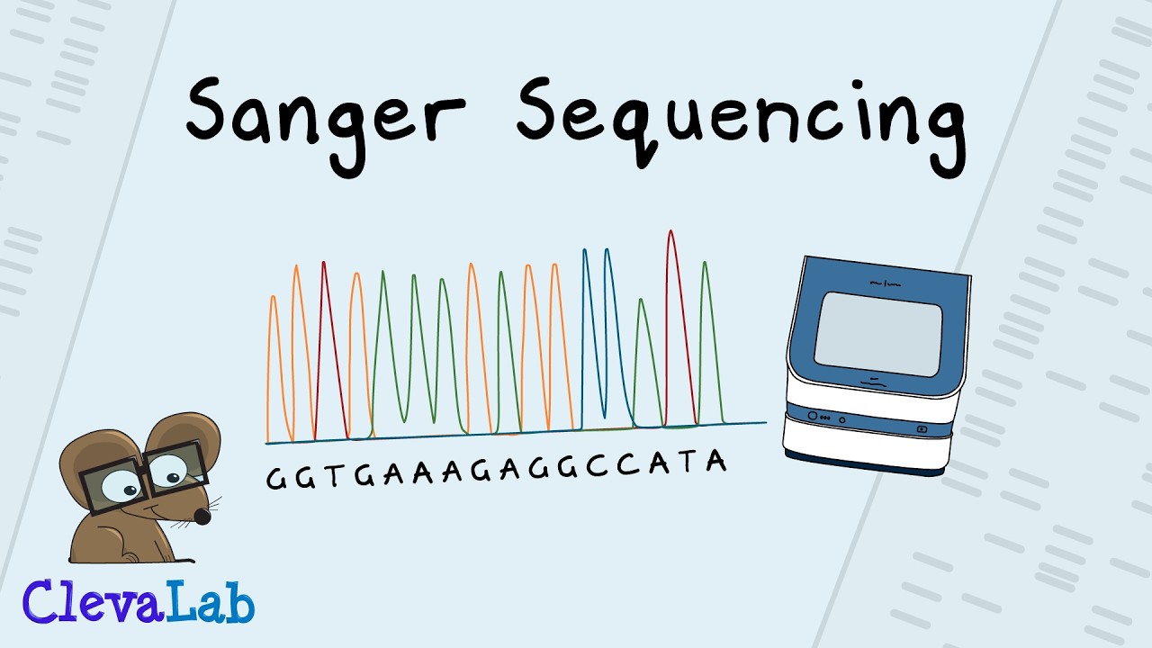 Sanger DNA Sequencing, From Then to Now.