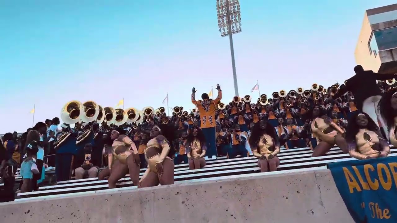 Alcorn Golden Girls Homecoming 2025 - Came Up
