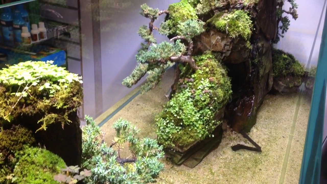 CADE River CB1500 Bonsai lake display