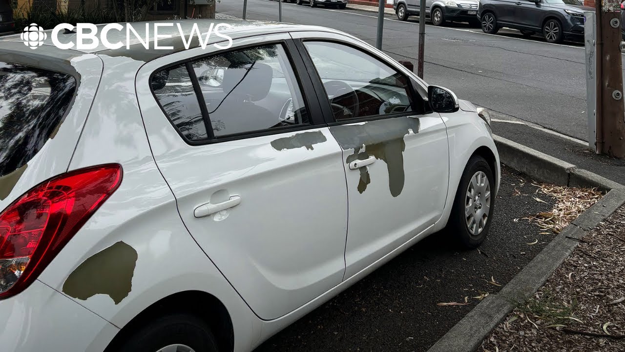 Peeling paint has Hyundai owners demanding answers | Go Public