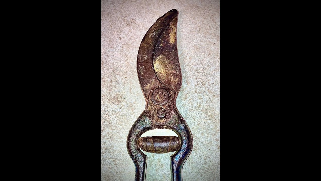 100+ Year Old Antique  Garden Shears Restoration