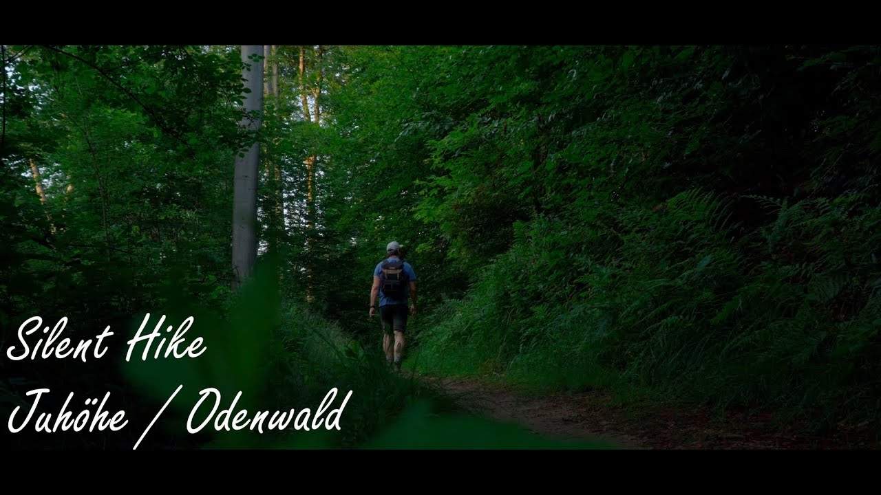 Silent Hike im Odenwald - Juhöhe
