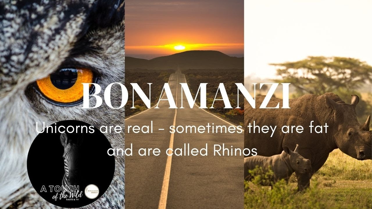 Bonamanzi Game Reserve