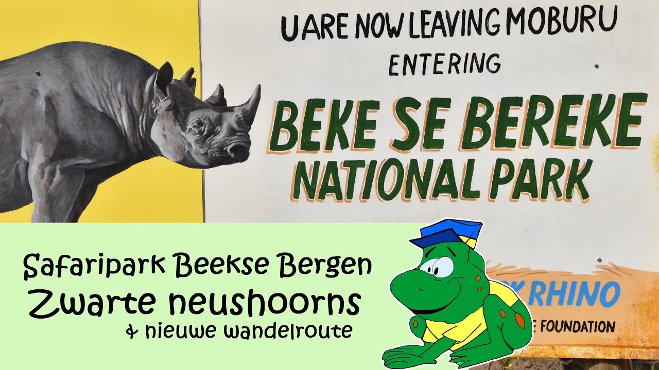 Safaripark Beekse Bergen, nieuwe wandelroute/ zwarte neushoorns