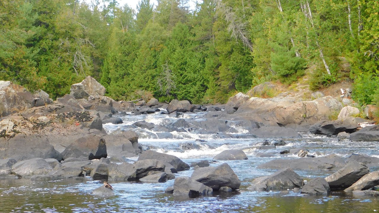 Chiniguchi - Sturgeon Loop Part 2: The Sturgeon River 