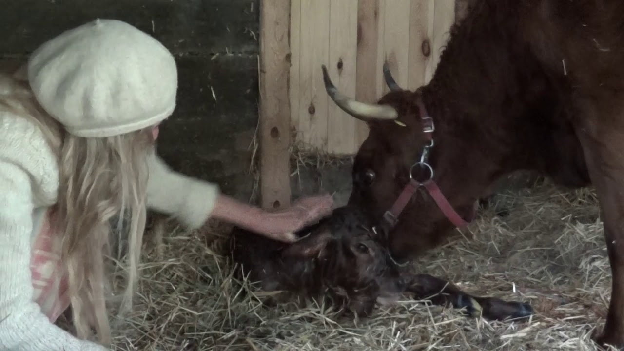 Rasmus is born