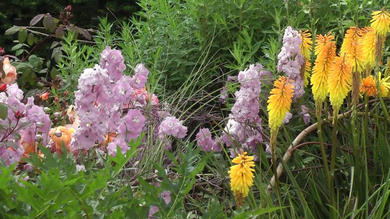 Hyde Hall July 2016