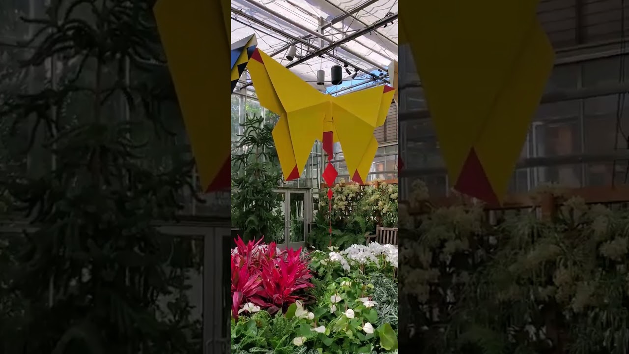 Giant Origami Butterflies!