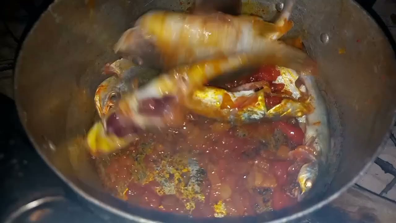 PESCARIA DEU COZIDO DE BAGRE AMARELO E BRANCO PIR&Atilde;O UMA DELICIA