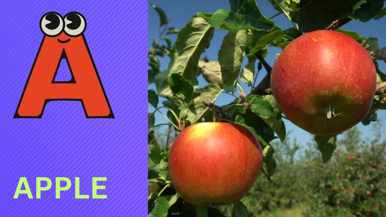 Песенка про фонетику алфавита | Звуки букв алфавита | Изучение алфавита для малышей | Детские пес...
