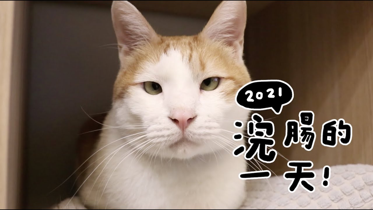 【黃阿瑪的後宮生活】2021浣腸的一天！