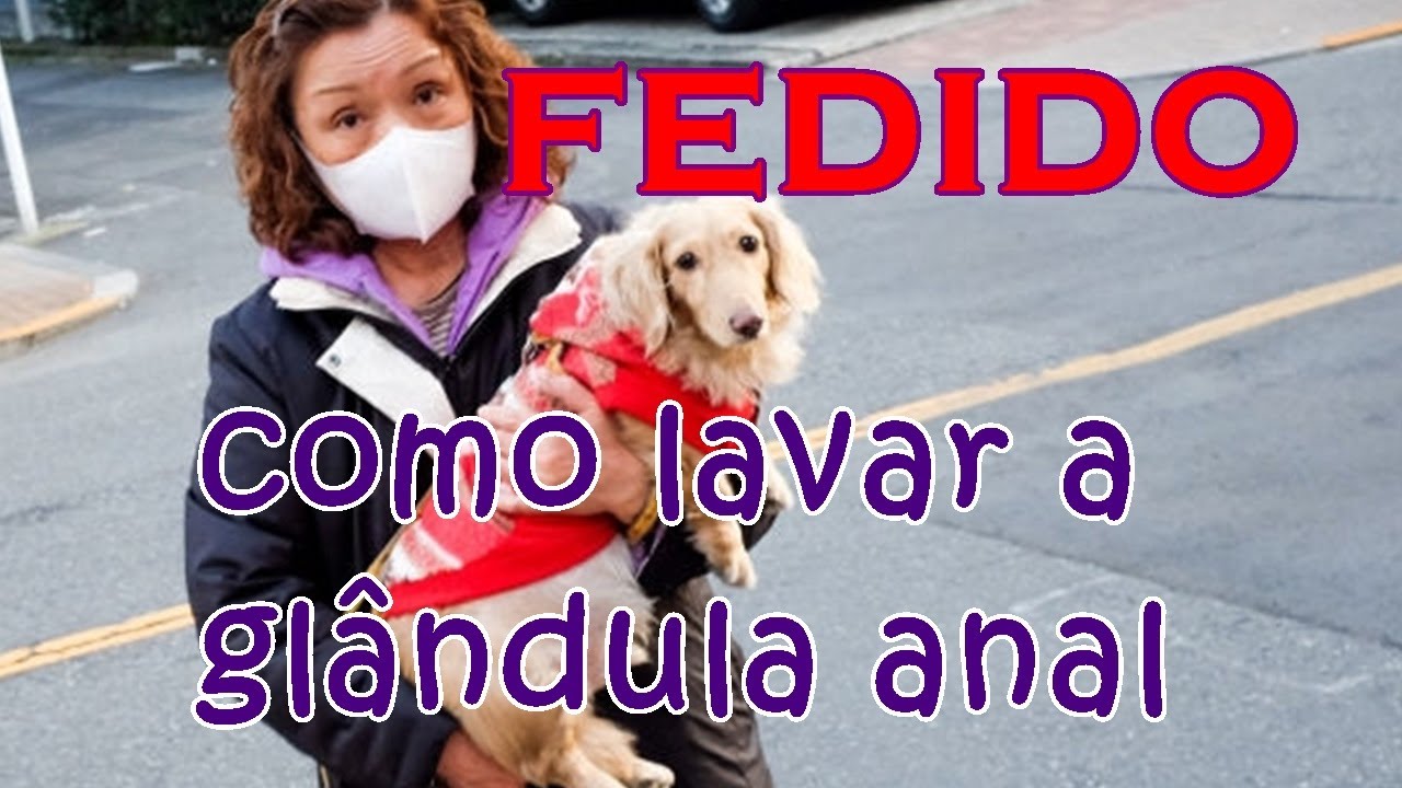 O que é Glândula Adanal em Cães e como espremer e lavar #petcarol #torodepalpite